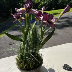 Flowe Arrangement 