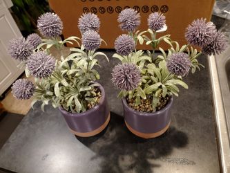 Cute Flowers. 15$ For Both