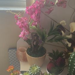 Floral Arrangements 