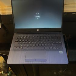 $100