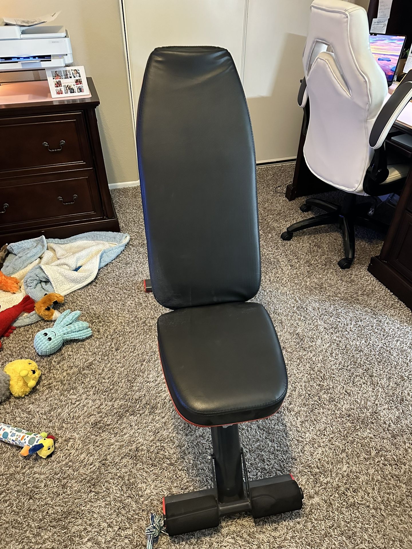 Workout Bench Foldable
