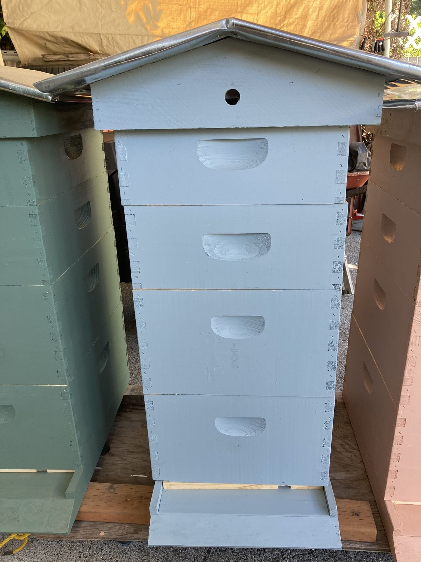 BEE HIVE