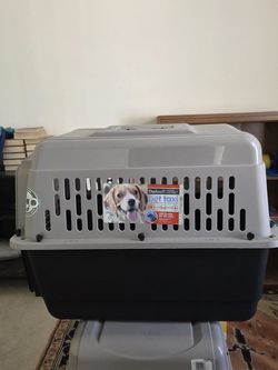 Pet Taxis