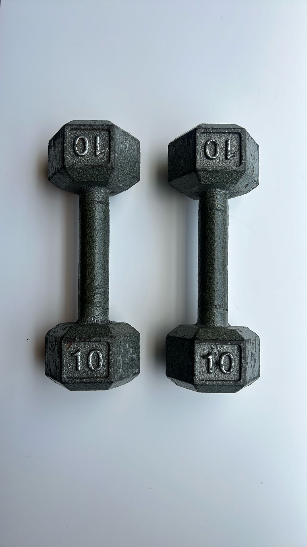 2 Dumbbells -10 Pounds Each