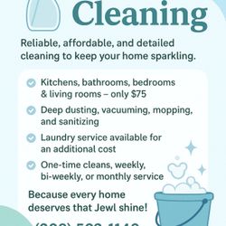 Cleaning Business 