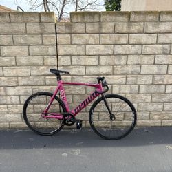 Unknown Singularity Fixie Track 
