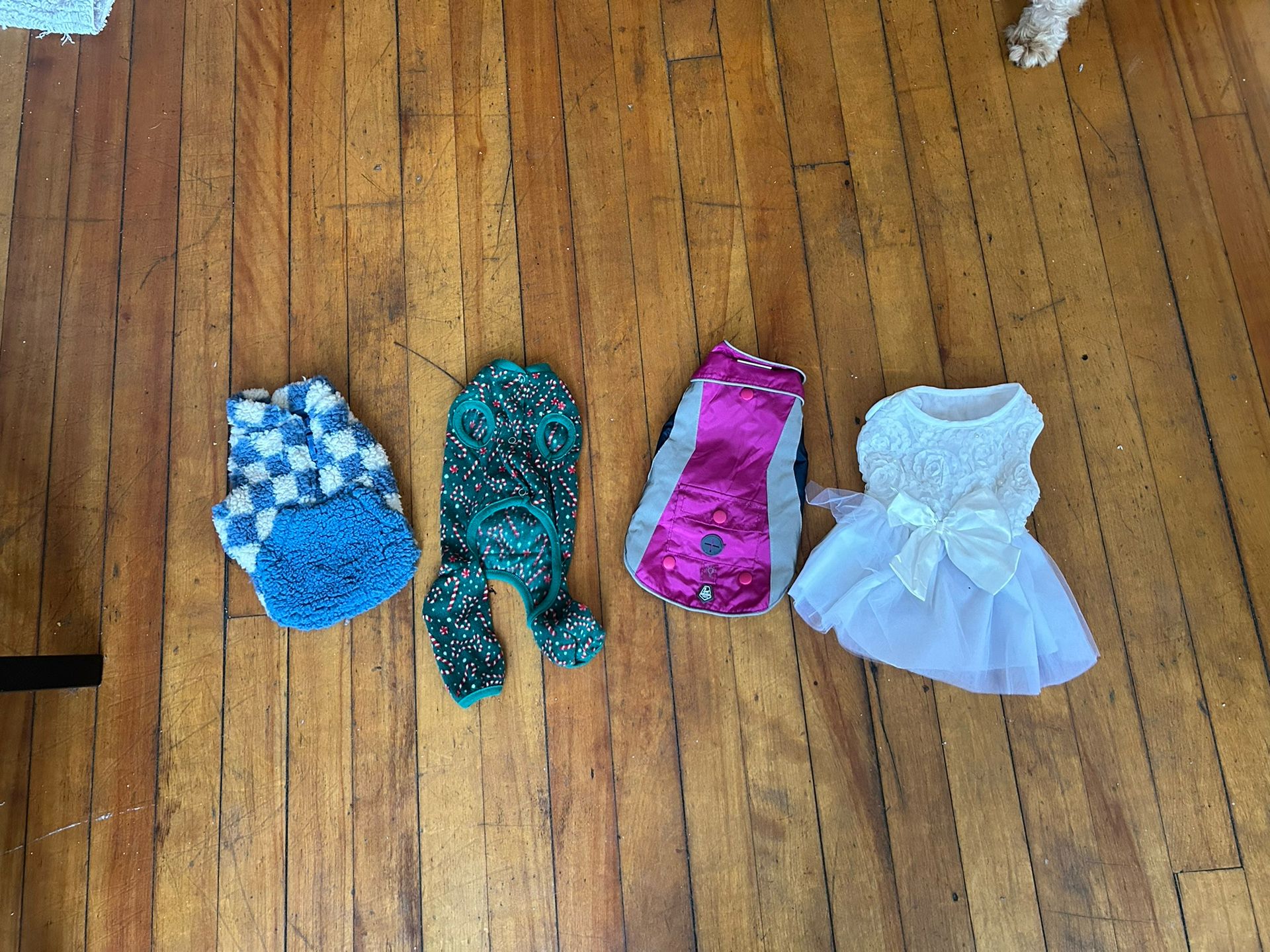 Dog Clothing (4)