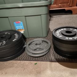 Weights 