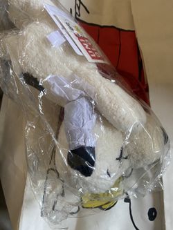 KAWS x Snoopy Plush Unopened