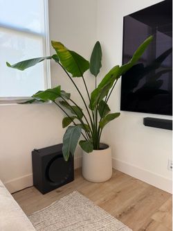 Crate and Barrel Pot
