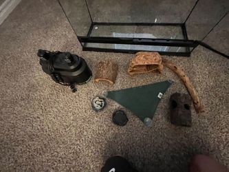 Glass Reptile Terrarium