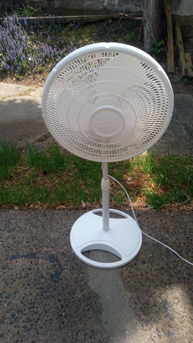 Oscillating Pedestal Fan Works Perfect 