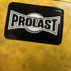Pro last Wrecking Ball Punching Bag