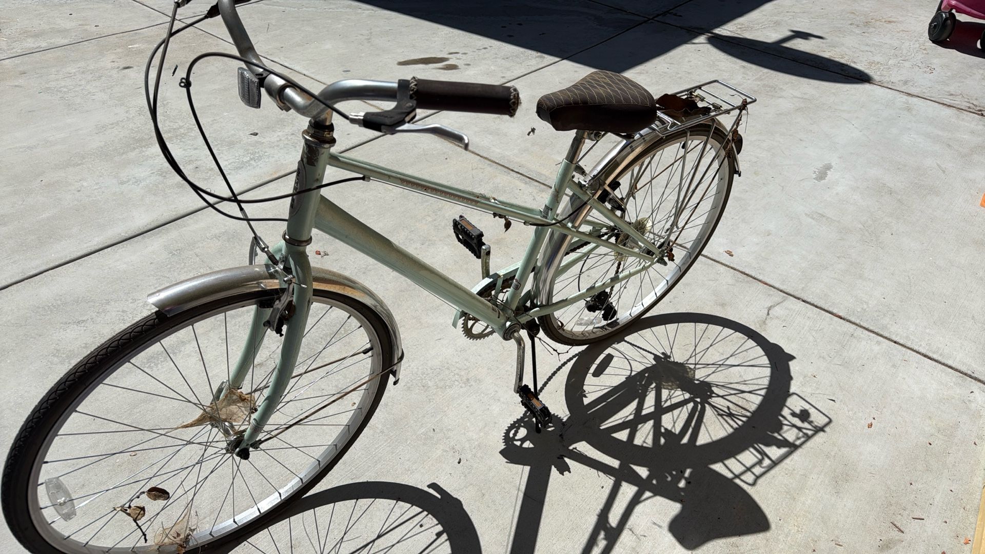 Adult Bike
