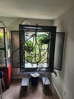 Chameleon Cage