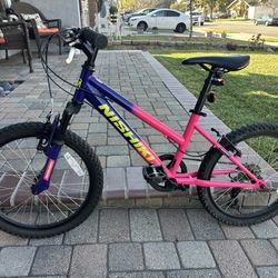 20” Bike - Nishiki Pueblo 20 7-speed