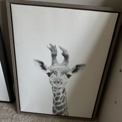 Baby Animal Wall Framed Prints  18 X 24 