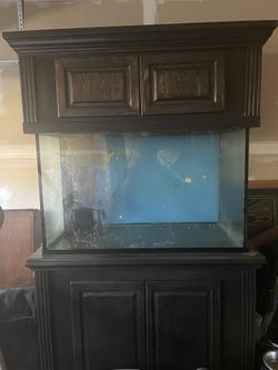 100gallon fish tank