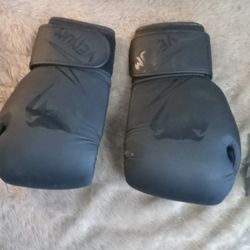 Venom Boxing Gloves