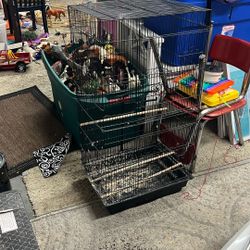Bird Cage