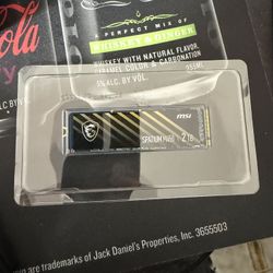 Msi Spatium M450 2tb
