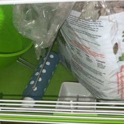 Hamster Starter Pack