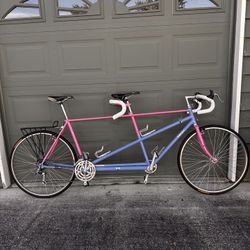 1993 Lippy Ecstasy Tandem Bicycle