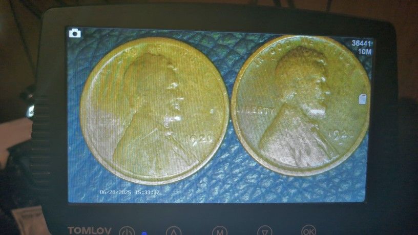 1920 And 1920D Lincoln Wheat Pennies