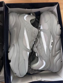Dior b22 grey
