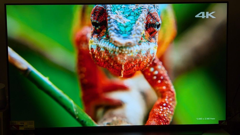 LG OLED 55 Inch Smart TV