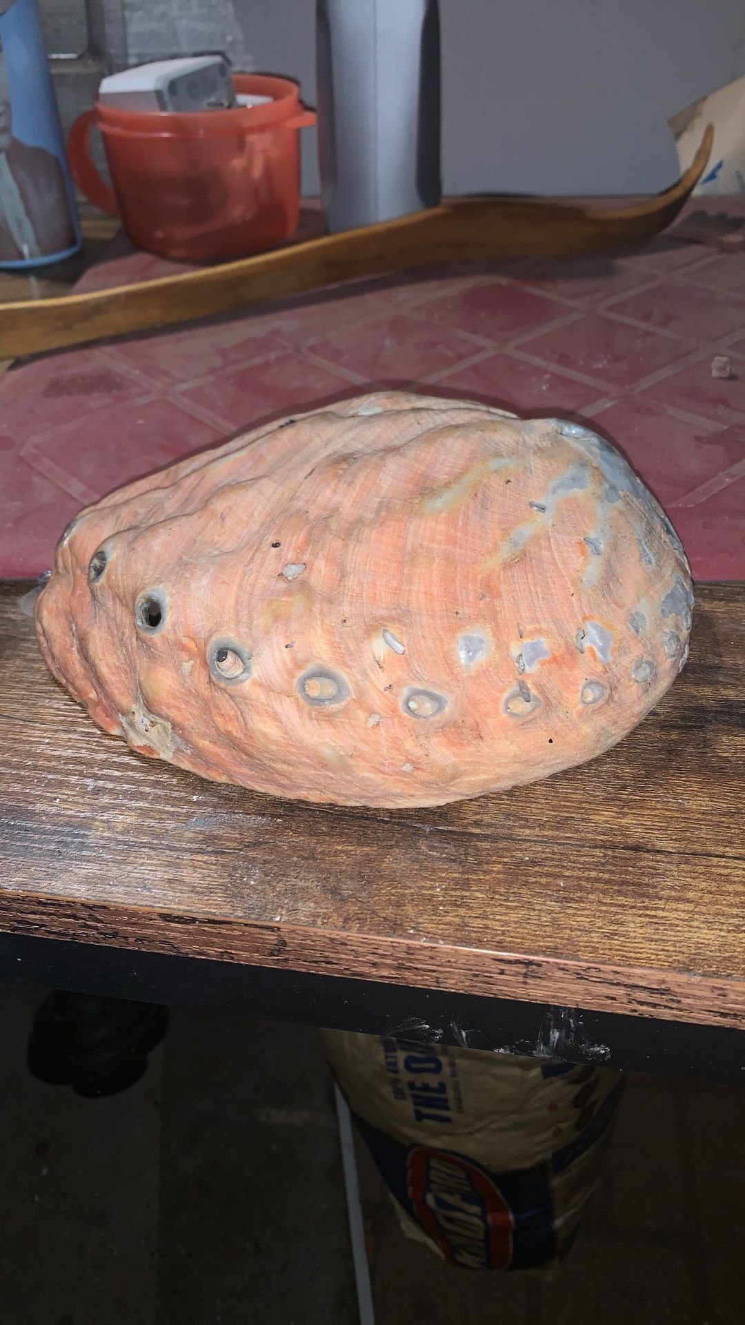 Large Mother Of Pearl Shell