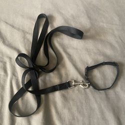 Small/Puppy Collar & Leash 