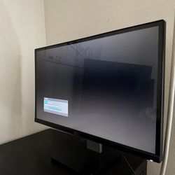 Dell Computer Monitor 