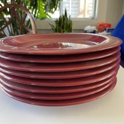 8 Dinner Plates -  NEW