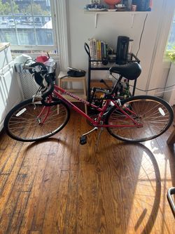 Pink Ross Country Tour bike