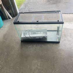 Critter Aquarium 