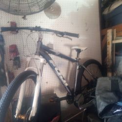 29 Inch Fuji