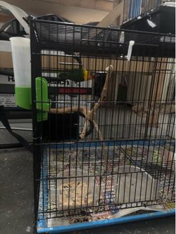Jaula para Lovebird