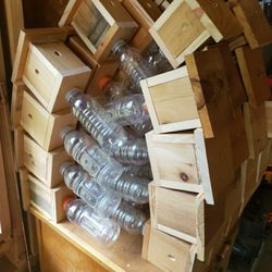 Bee traps