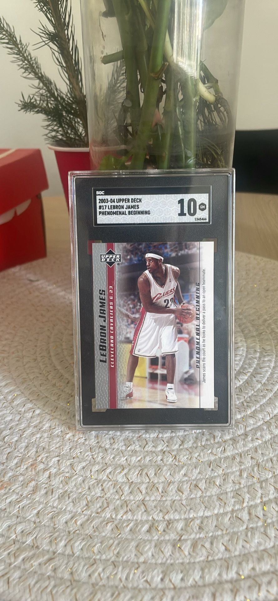 LeBron James Card  