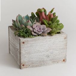 Succulent wooden box planter rustic farmhouse style decor