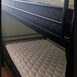 Bunk Beds