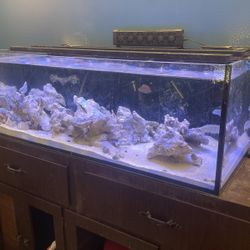 80 Gallon Complete Saltwater Aquarium, Skimmer, Live Rock, Programmable Sunsetter Lights, Auto Fill Tank, Pumps, Mp40 Quietdrive Impeller, Sand, 