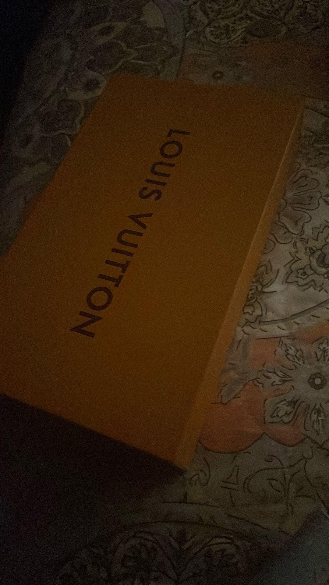 Loui Vuitton Purse