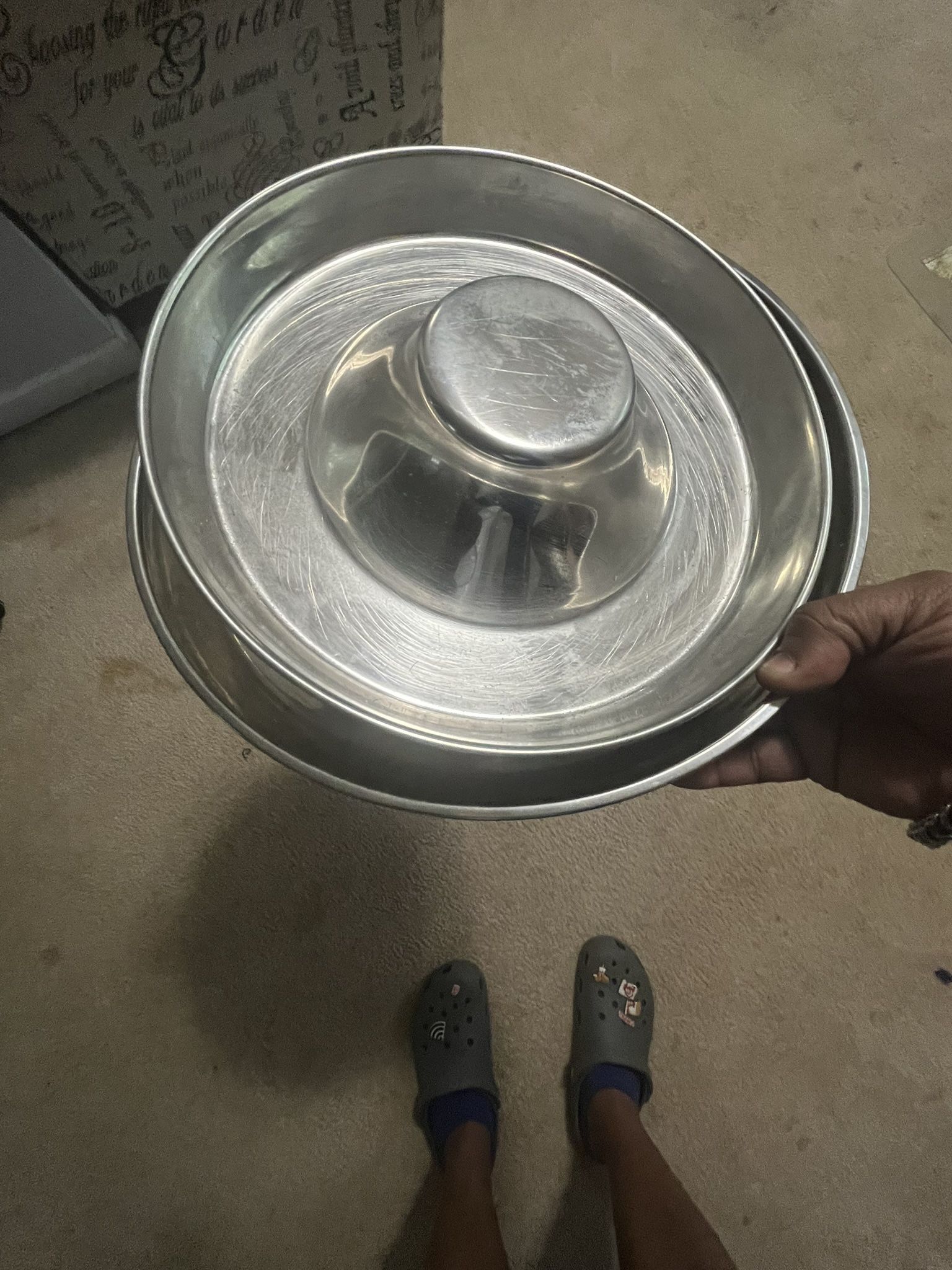 Puppy Feeding Bowls