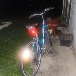 Adult Bike