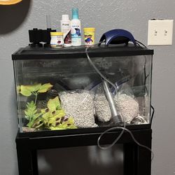 10 Gallon Aquarium + Stand & Accessories