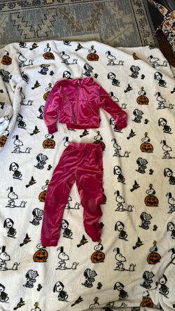 Girls 3-4T SHEIN velvet pants and hoodie