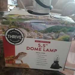 All Reptiles 5.5" Dome Lamp In Weeki Wachee Spring Hill