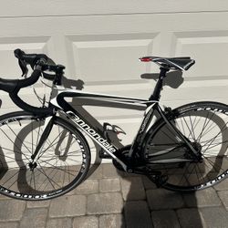 Cannondale Synapse Carbon Road Bike. 51cm
